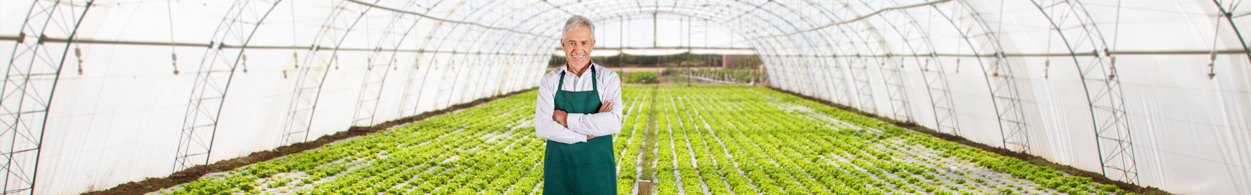 Seguros de salud para Pymes Fiatc - Fiatc